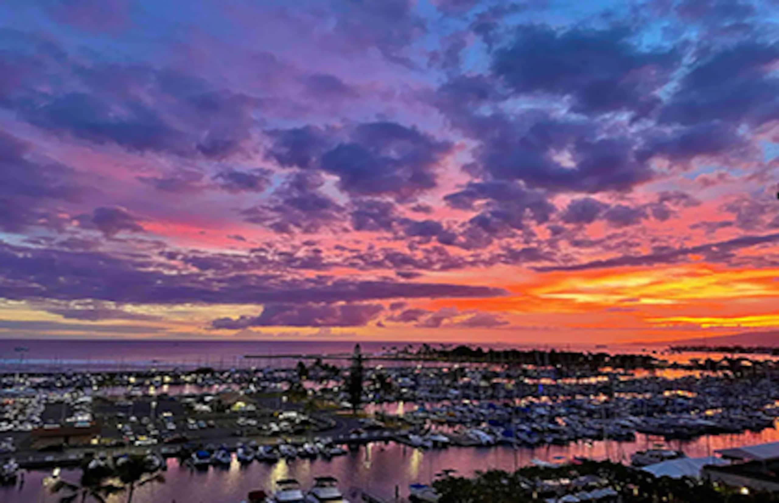 Hotel in Honolulu · ★4.82 · 1 bedroom · 2 beds · 1 private bath - Image 20