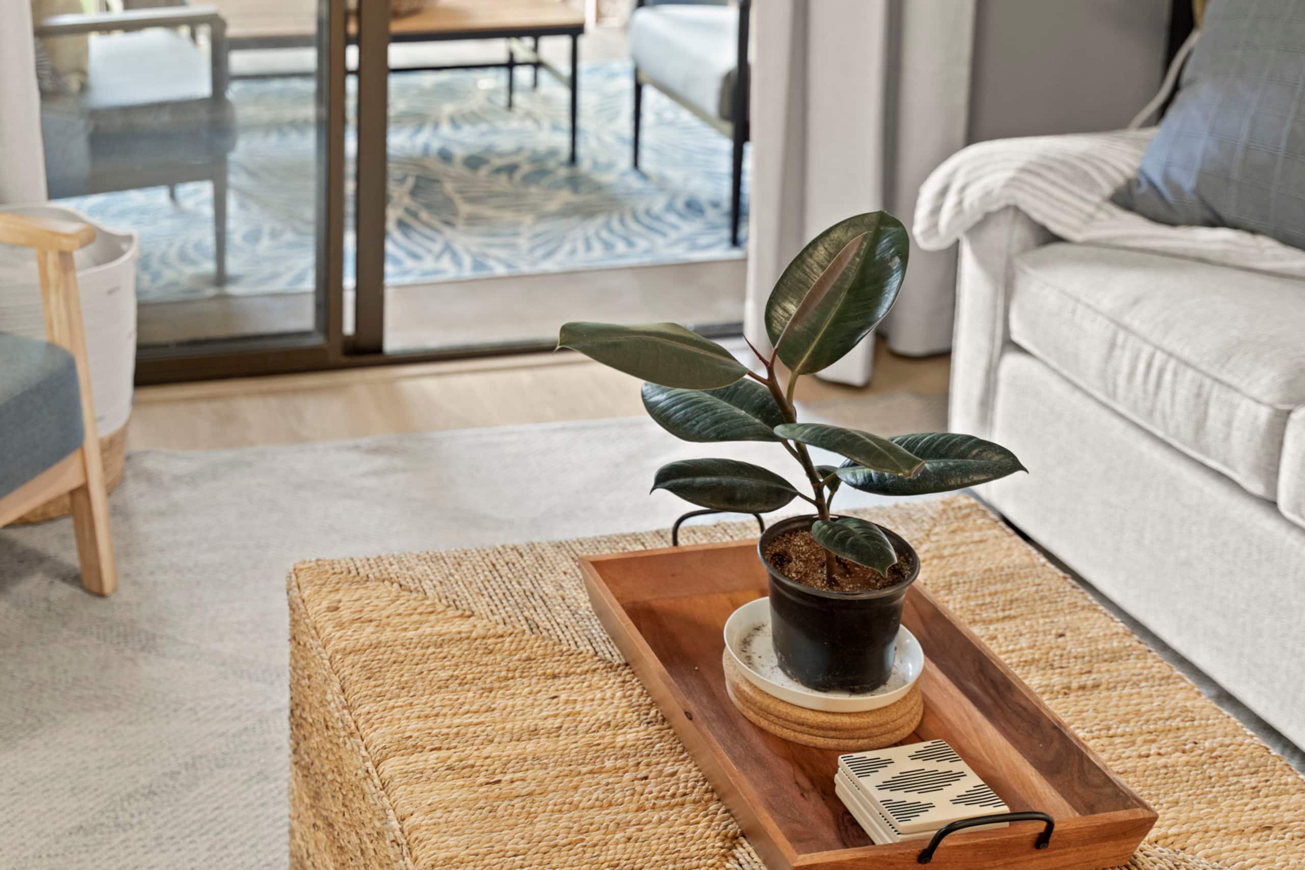 Home in Lihue · ★4.97 · 2 bedrooms · 4 beds · 2 private baths - Image 12