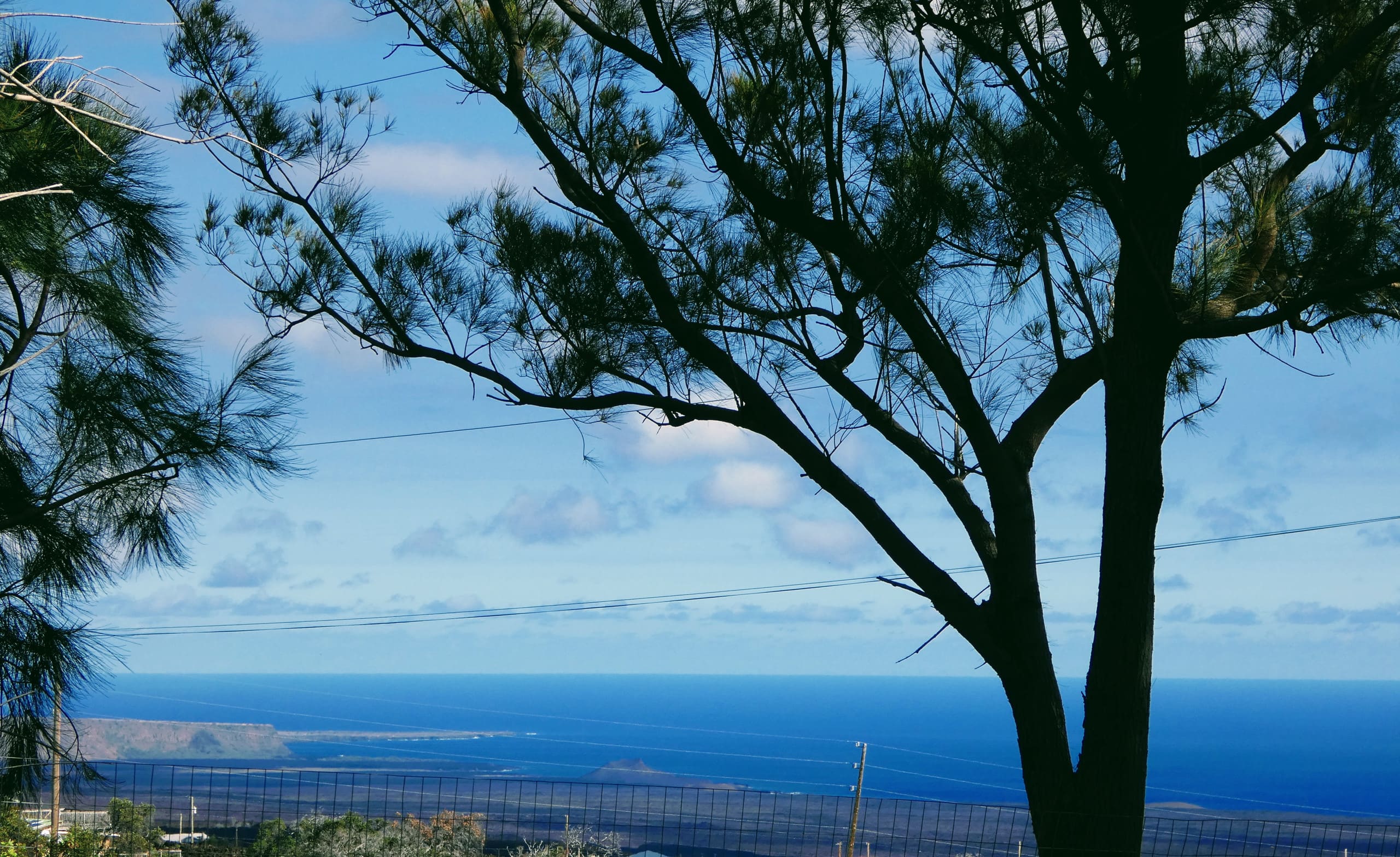 Big Kahuna Cabin (Hot Tub Getaway) -Ocean View- - Photo 18