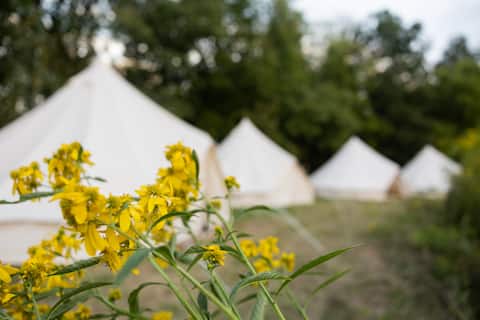 Glamping Village (10 tents) for Weddings/Events