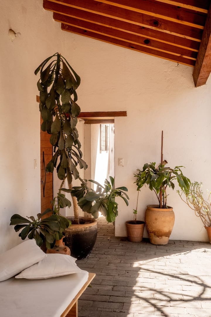 Pocoapoco - Beautiful Home in Oaxaca Centro - Houses for Rent in
