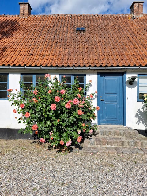 A whole guesthouse in the outskirts of Stege