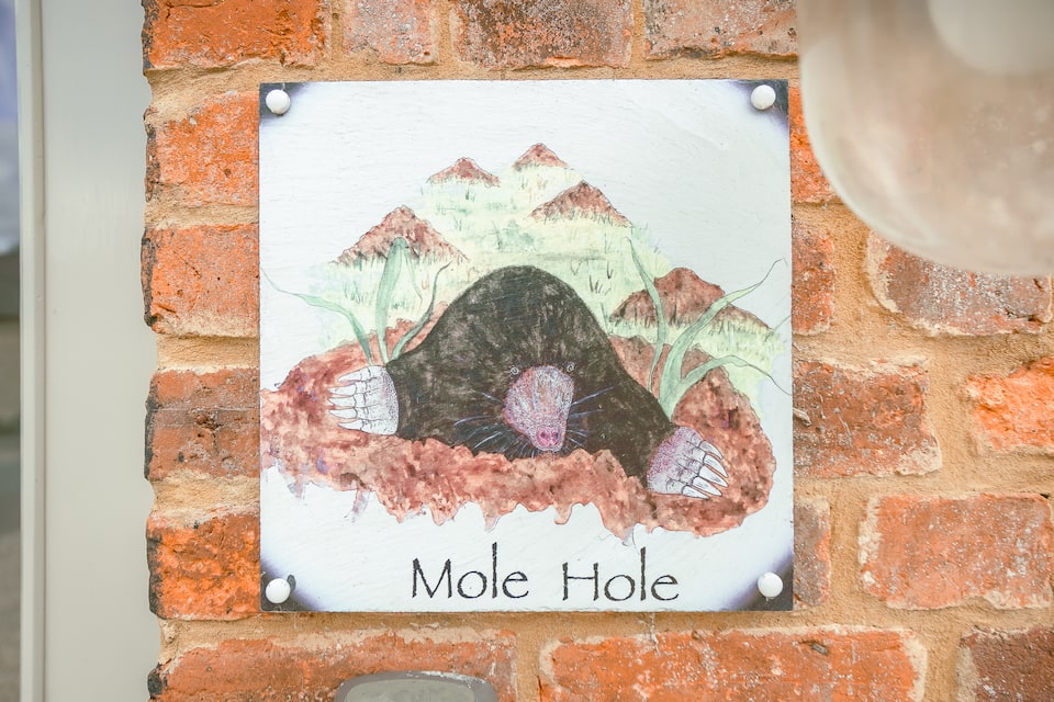 Mole Hole — foto 1