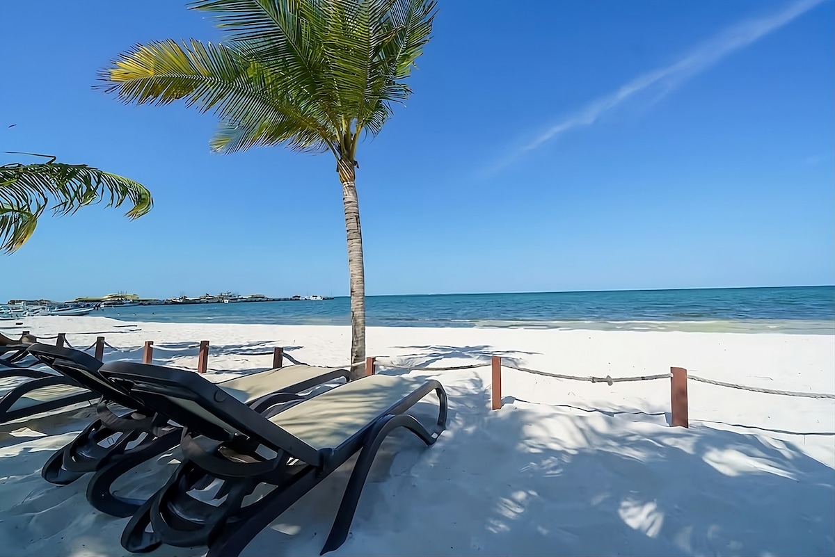 Picture of Beachfront Penthouse 2 | Private Pool - Ocean view - Condominiums for ...