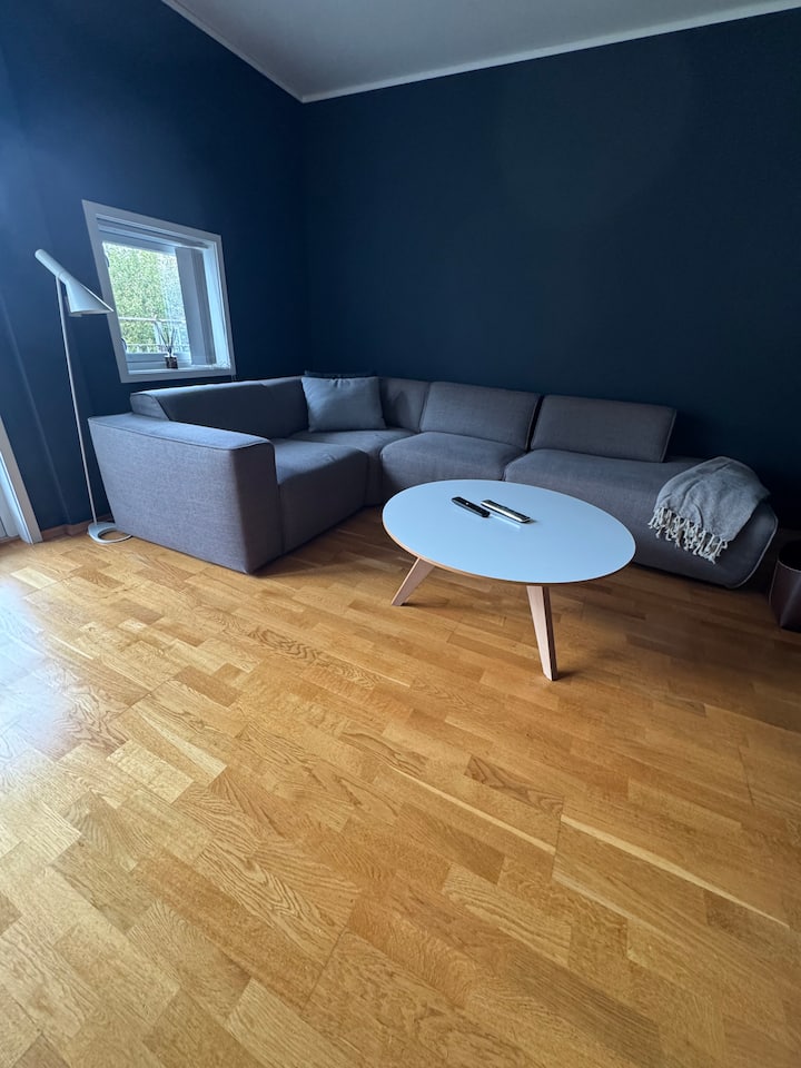 Sentral Leilighet På Bakklandet - Trondheim