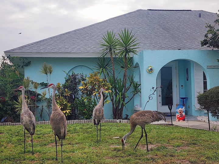 Woodstork Pond Cottage -  6 Minutes To The Beach - Englewood, FL