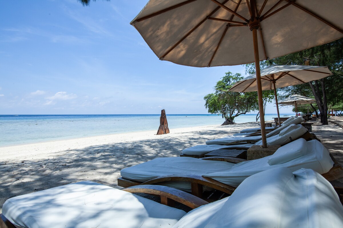 Lounge chairs are arranged along a sandy beach, providing shaded spots under large umbrellas. The calm sea is visible in the background, with gentle waves lapping at the shore. Lush trees offer soft shade, enhancing the relaxing beach atmosphere.