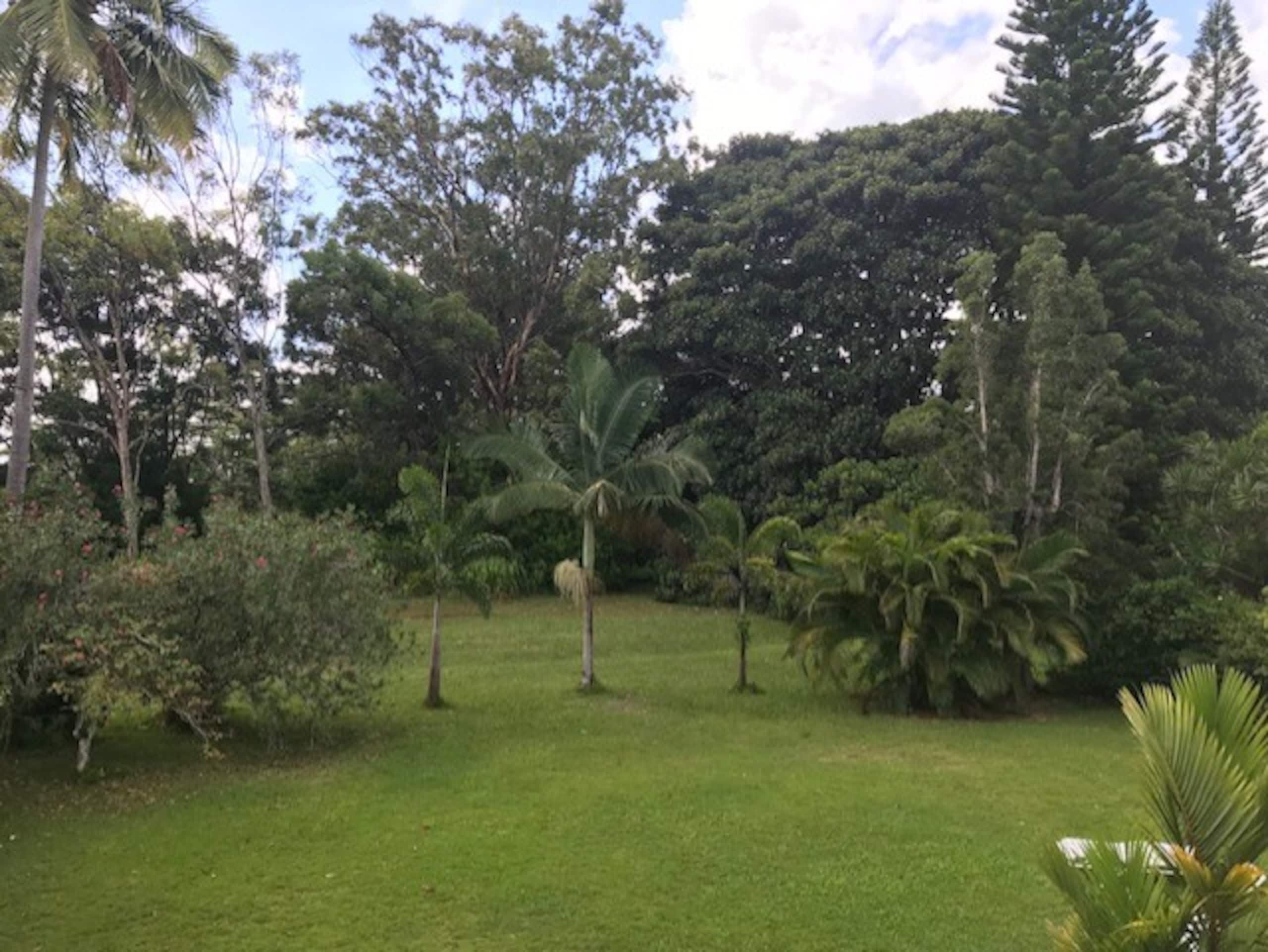 Entire rental unit in Princeville Kauai - Photo 5