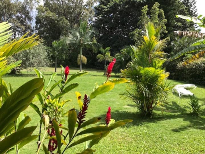 Relaxing 1-b "Apt" On The Secluded Green Belt. A/c - Hanalei, HI