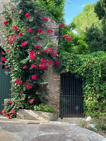 Cozy House XVIII century with views to Alt Empordà