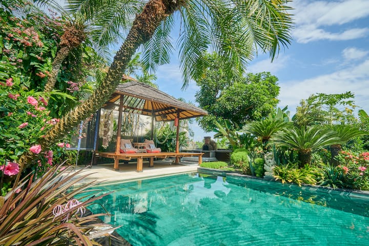 Luxurious Guest House - Close To Everything - Bali