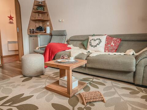 FREE bikes/Balcony/Netflix/AC/10min-Lake Bohinj