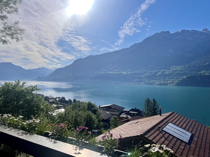 Stylish Chalet With Stunning View - Habkern