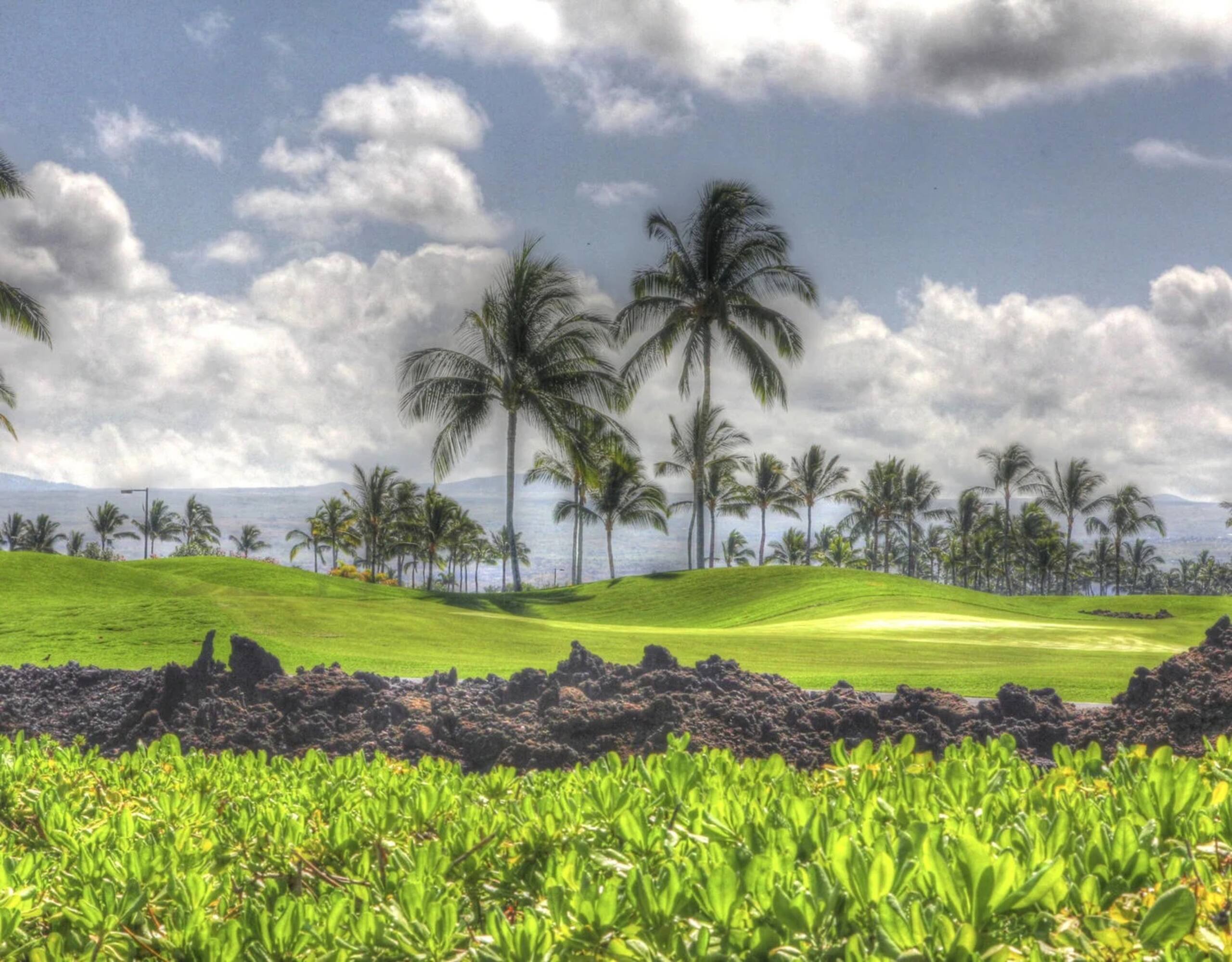 Townhouse in Waimea · ★4.96 · 2 bedrooms · 3 beds · 2 baths - Image 15