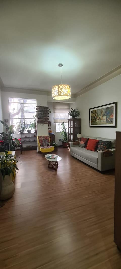 Successful Airbnb property: Cosy apt, TOP location, subway near! in Santa Cecília
