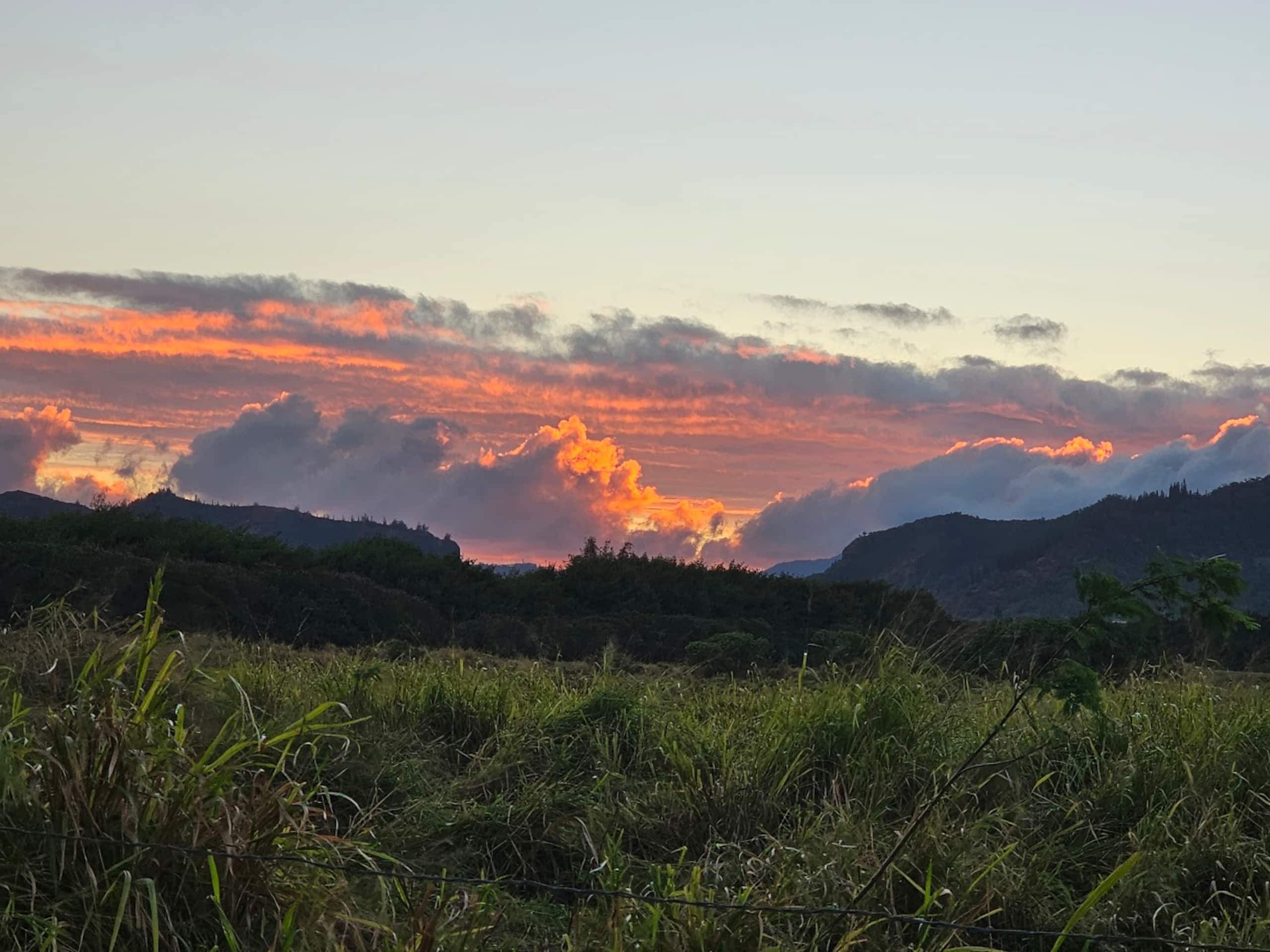 Entire rental unit in Kapaa Kauai - Image 11