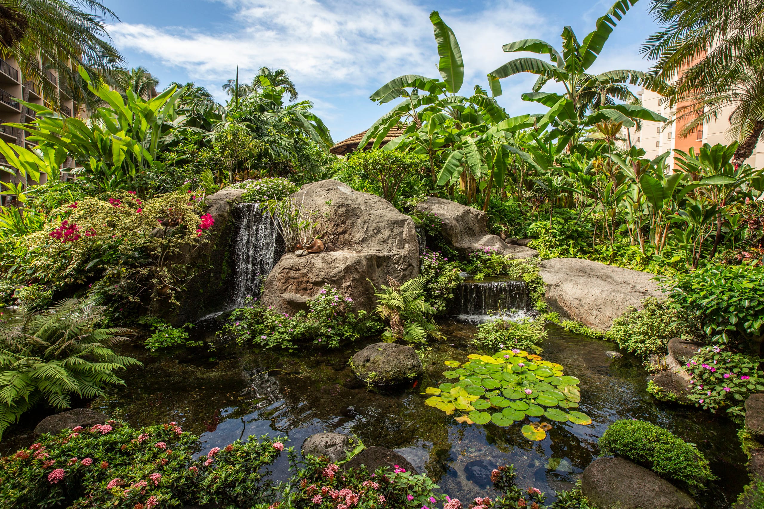 Kaanapali Shores Resort Studio #334 ~ West Maui ~ - Image 16