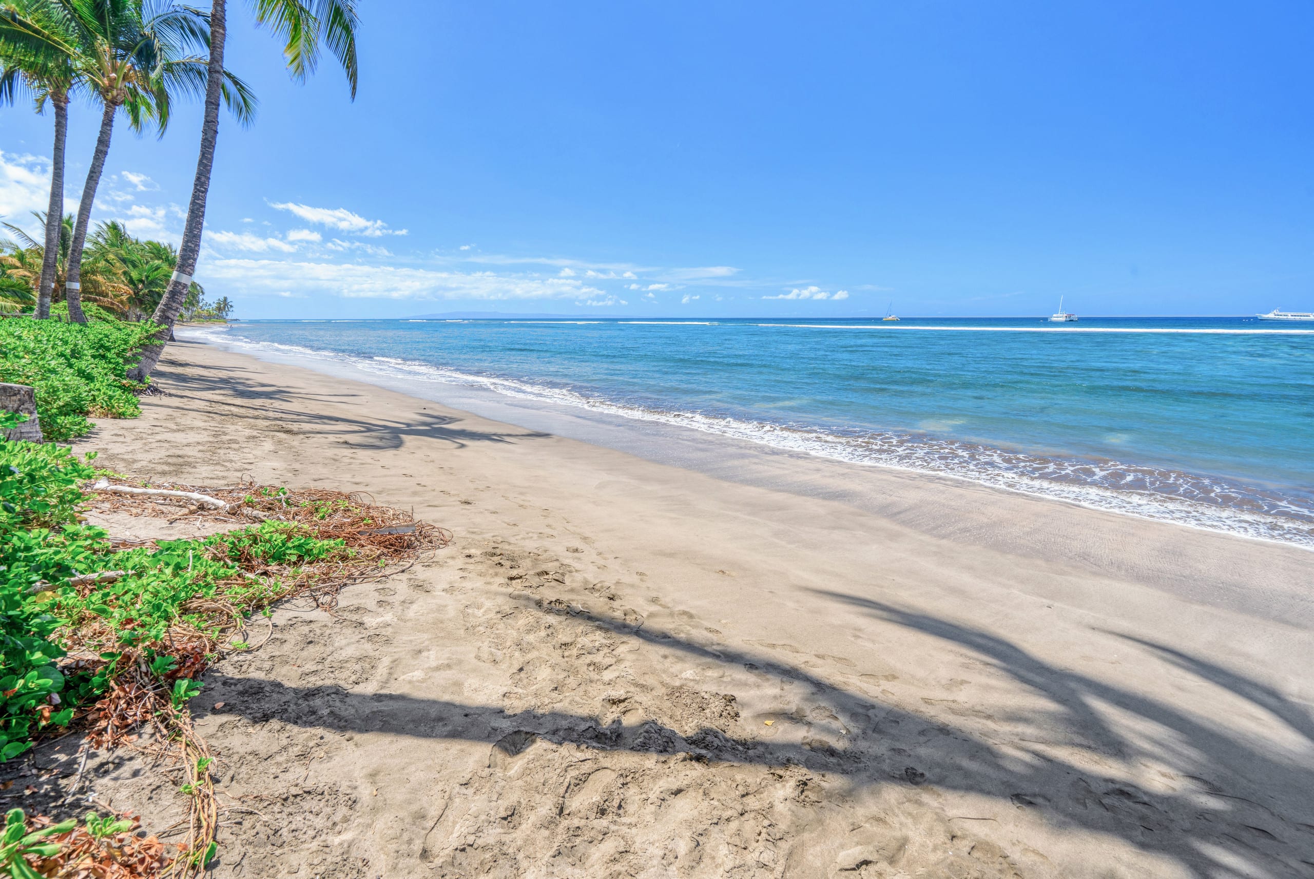 Beachfront Condo in Lahaina! - Image 18