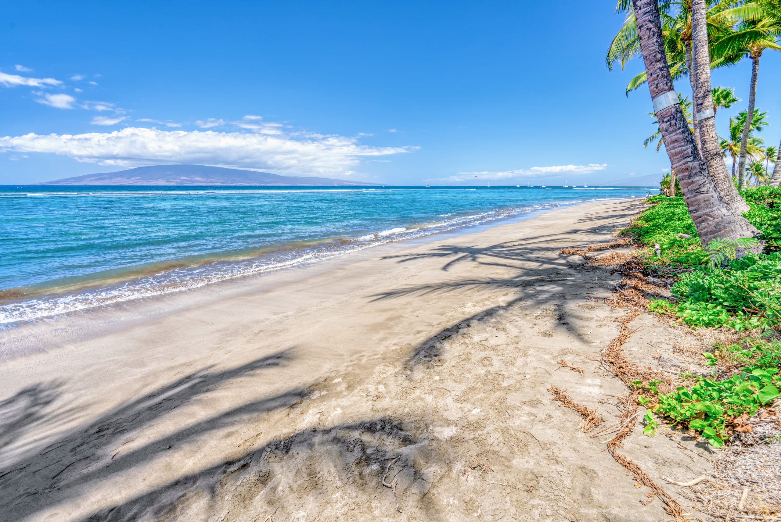 Beachfront Condo in Lahaina! - Image 19
