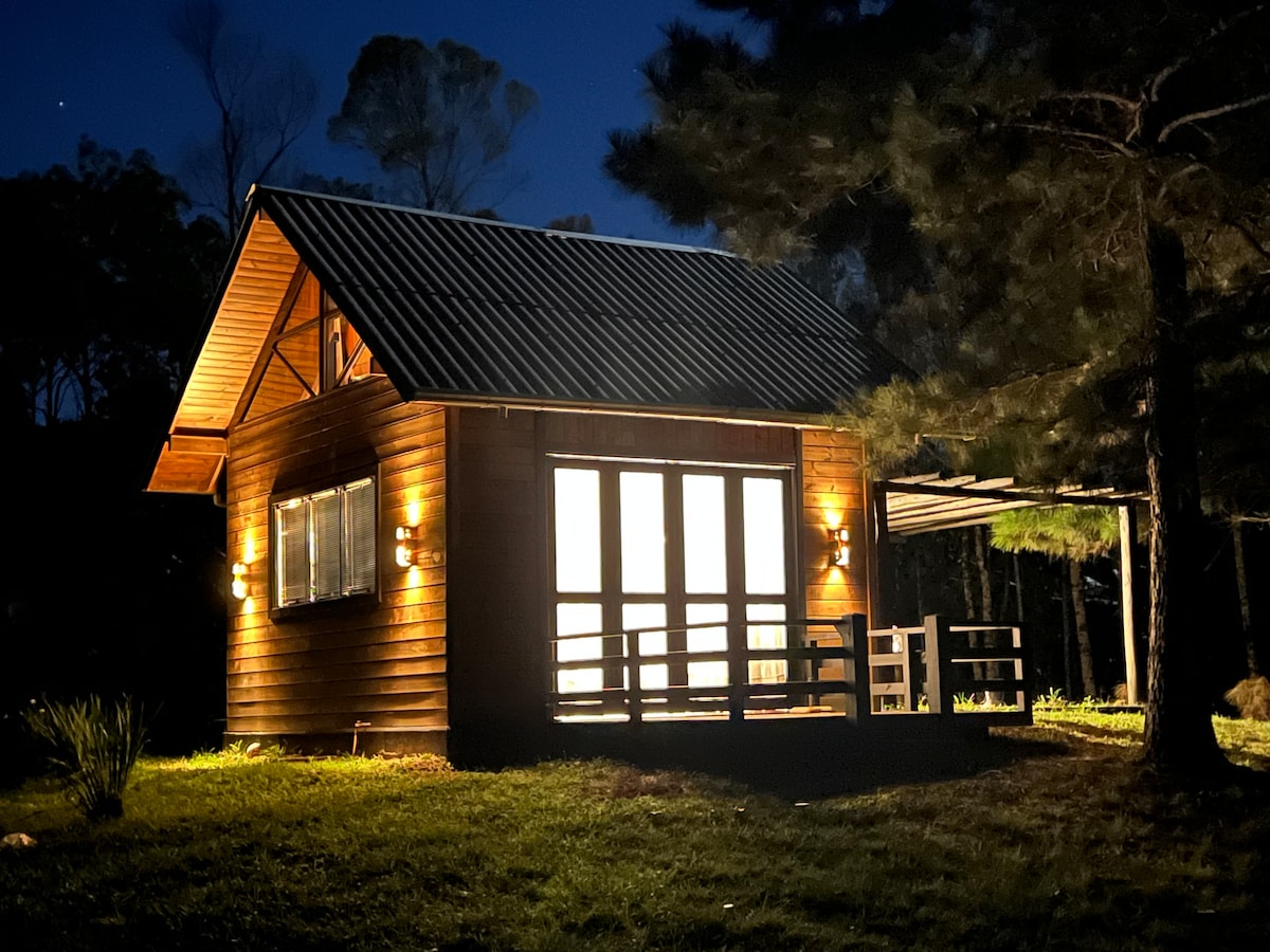 A charming wooden cabin is illuminated at night, with large front windows showcasing bright indoor light. The porch is visible, framed by trees and greenery, creating a serene atmosphere in the natural surroundings.