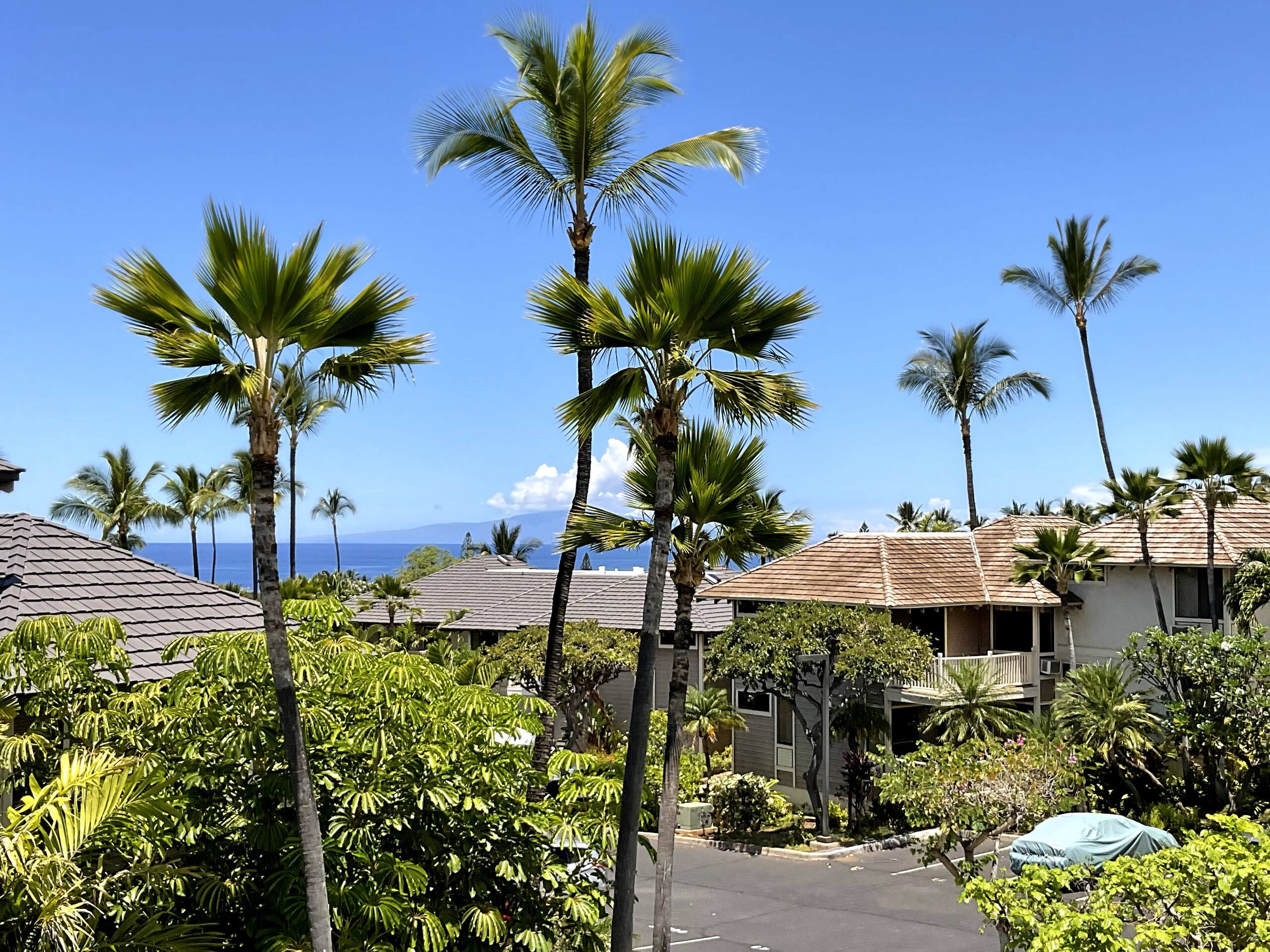 Wailea Large Ocean View Condo - Image 24