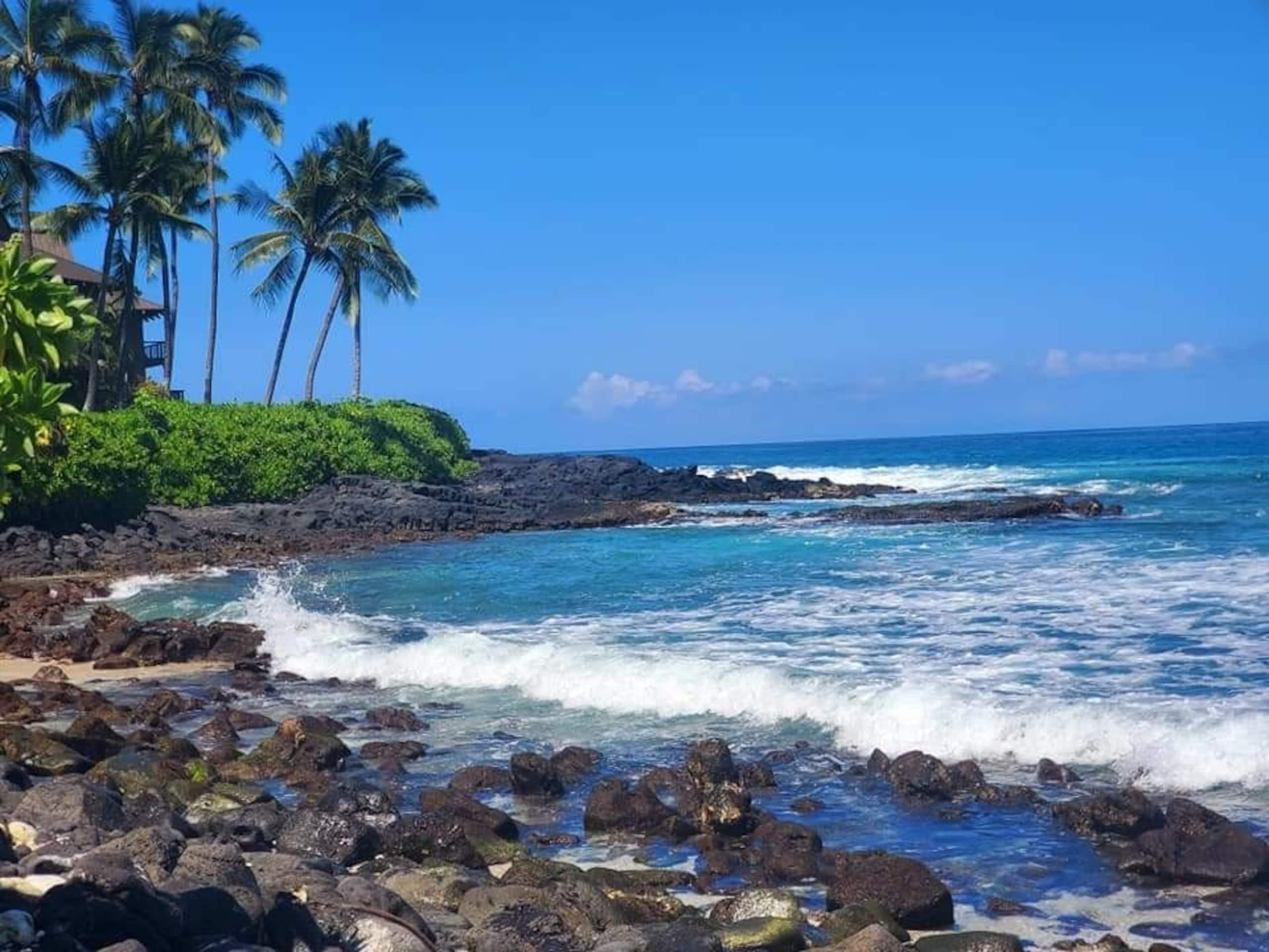 Condo in Kailua-Kona · ★4.61 · 2 bedrooms · 3 beds · 1 private bath - Image 6