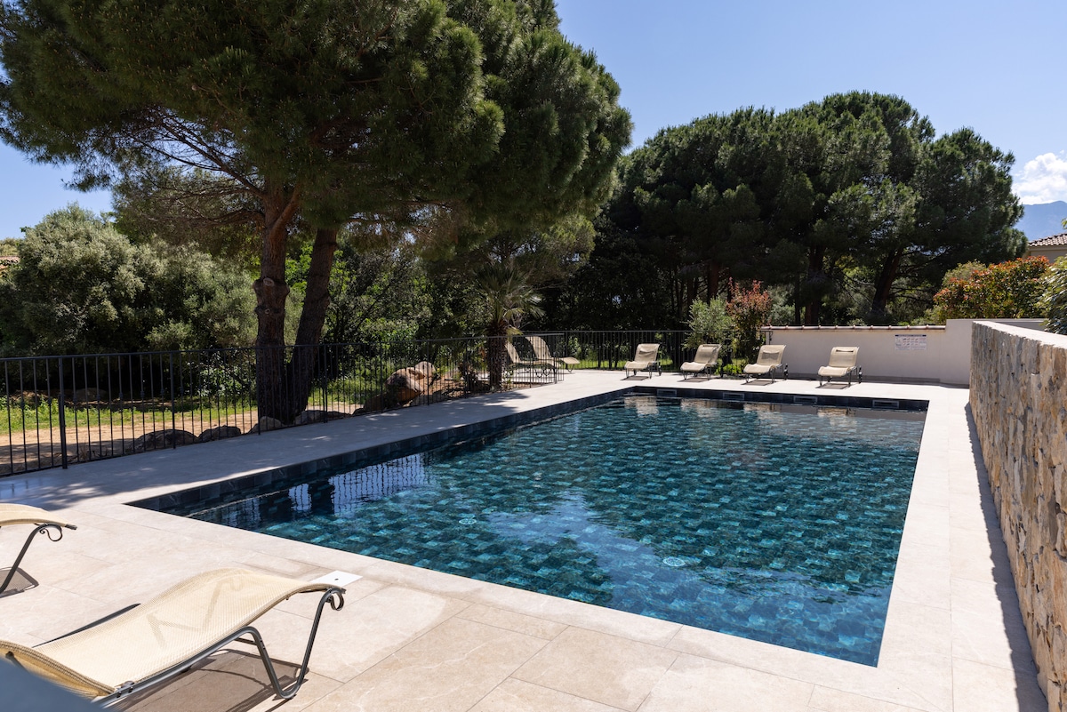 A serene swimming pool is surrounded by lounge chairs on a tiled deck. Lush greenery frames the space, with tall trees providing shade in the background. The pool's clear water reflects the sky, creating a calming atmosphere suitable for relaxation.