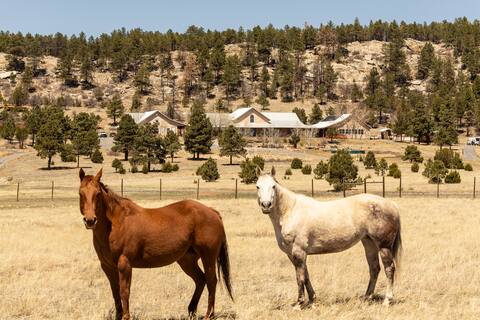 186-Acre Luxury Retreat: Nature's Bliss