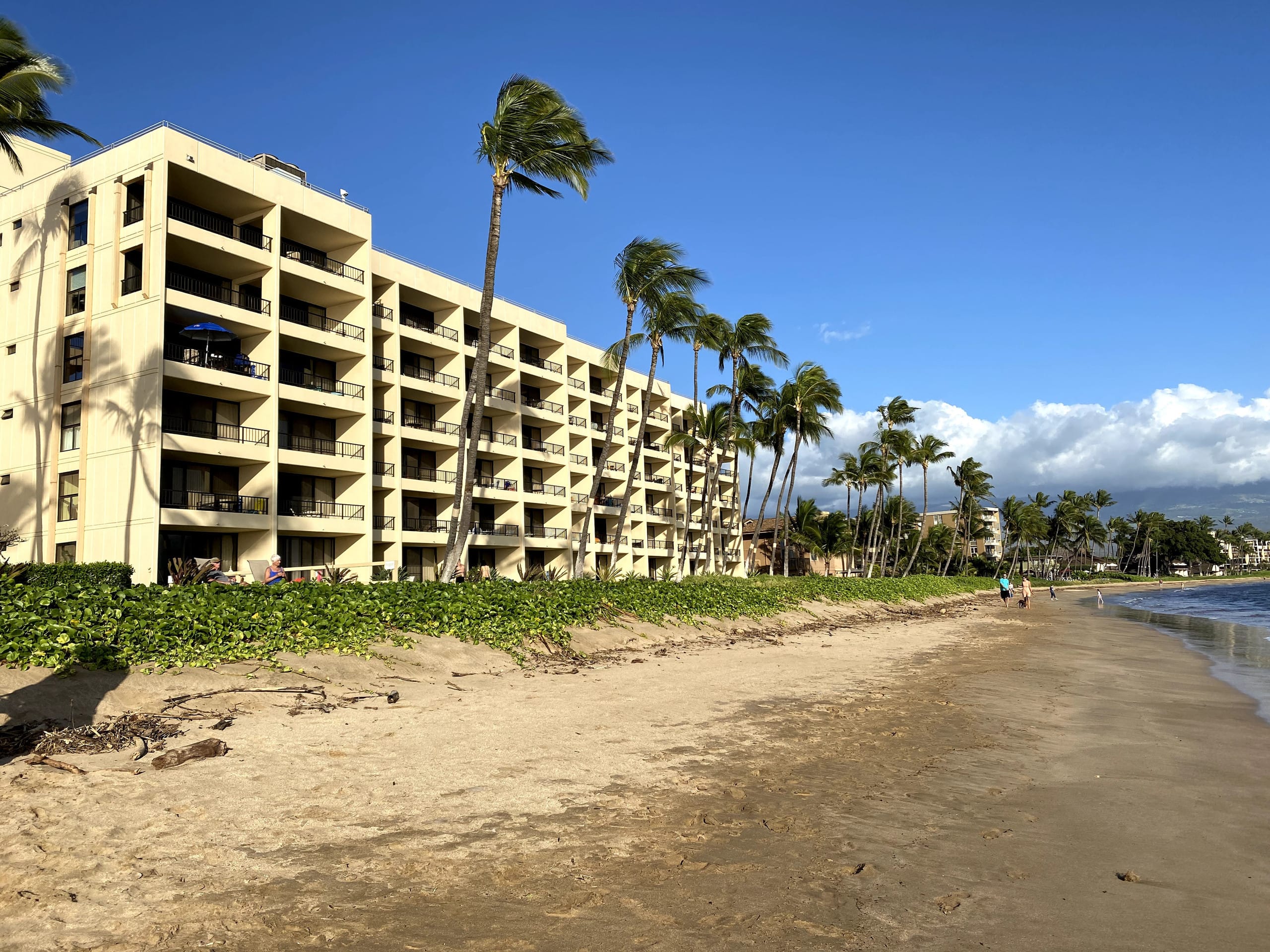 Condo in Kihei · ★4.89 · 1 bedroom · 1 bed · 1 bath - Image 31