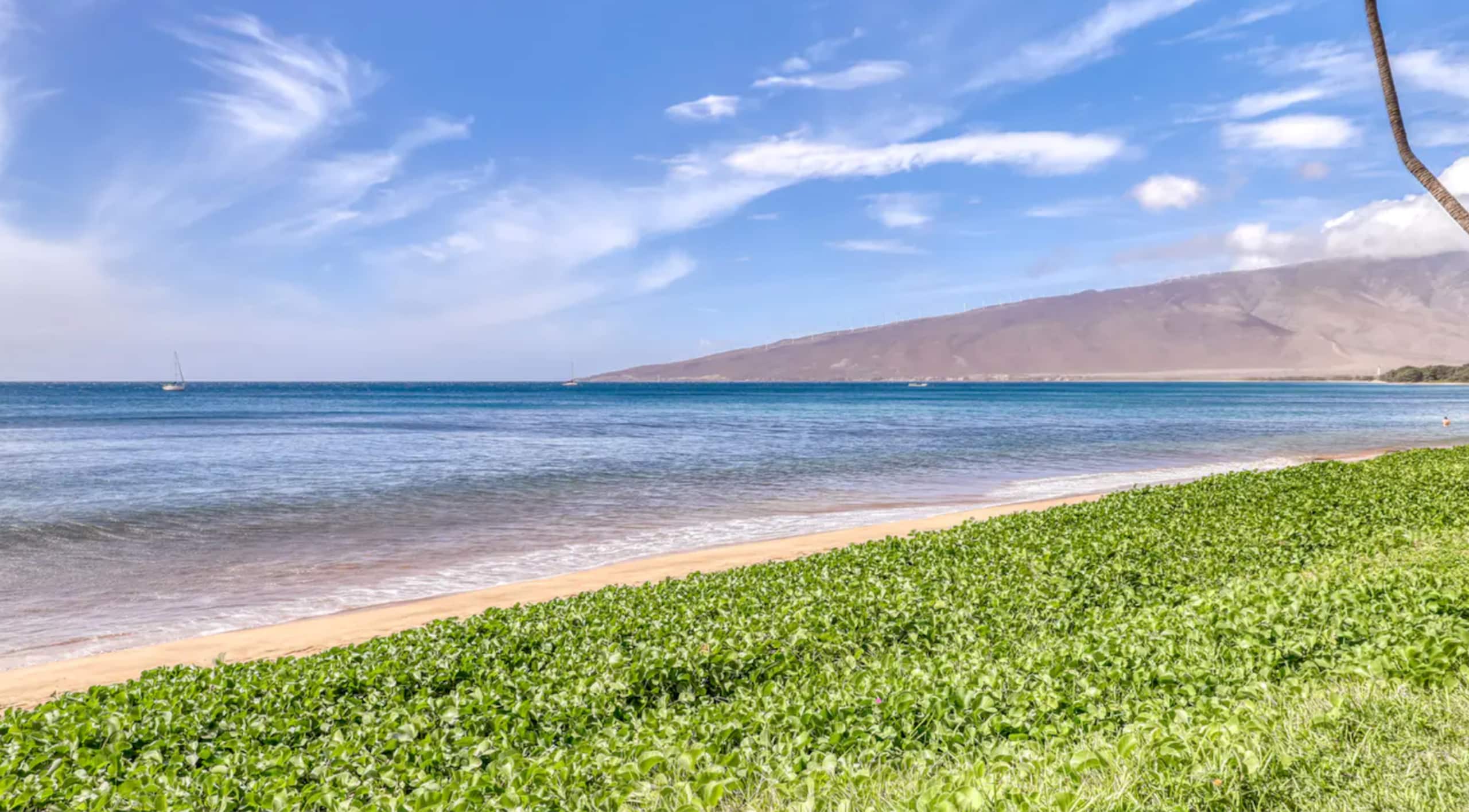 Condo in Kihei · ★4.89 · 1 bedroom · 1 bed · 1 bath - Image 24