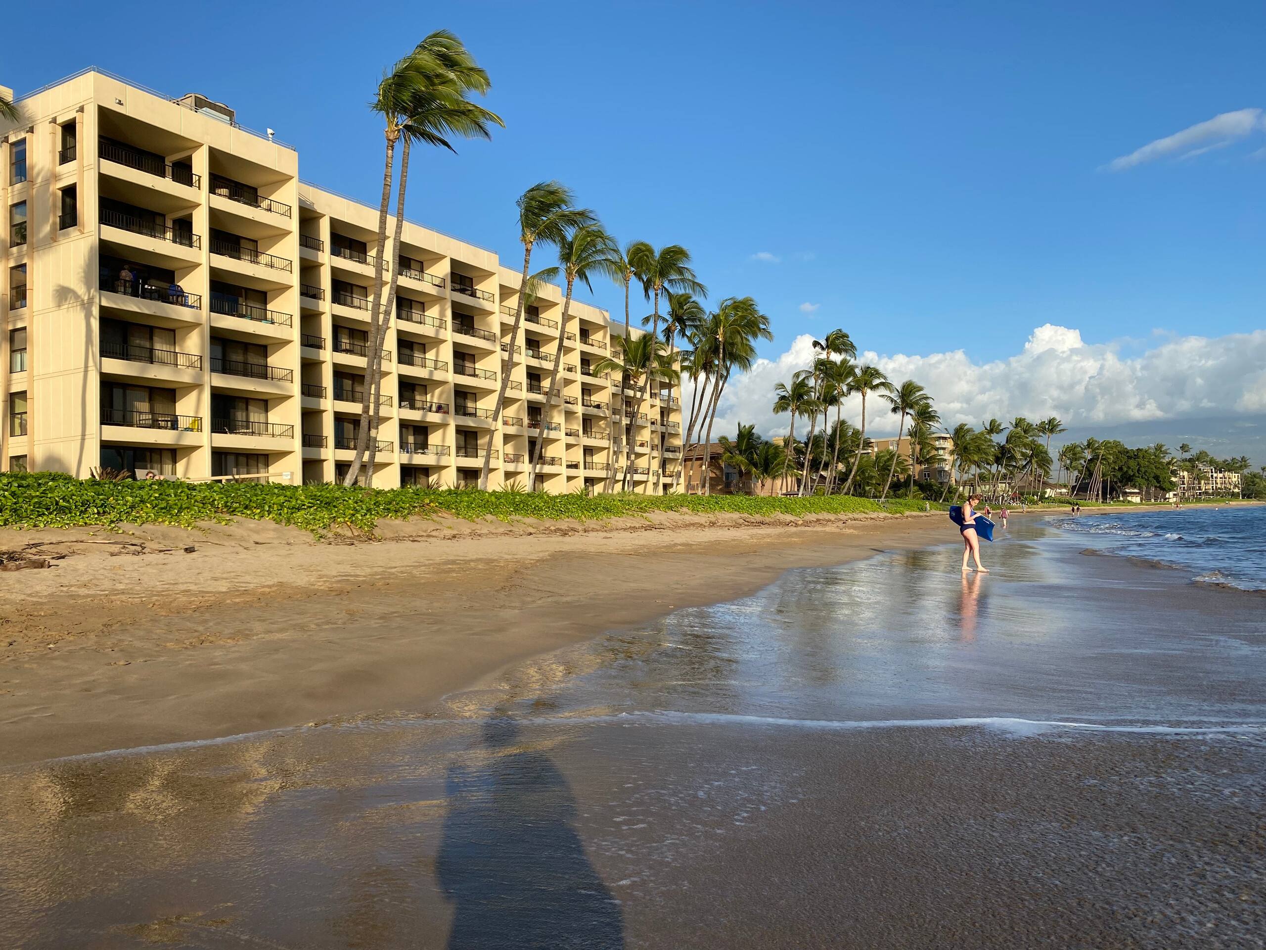 Condo in Kihei · ★4.89 · 1 bedroom · 1 bed · 1 bath - Image 36