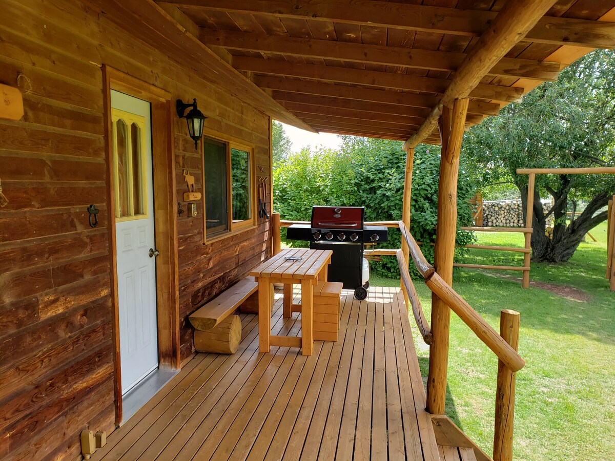 The covered porch features a wooden dining table with benches, a gas BBQ grill, and views of the grassy yard. The cabin entrance is visible, framed by rustic wooden beams and surrounded by lush greenery.