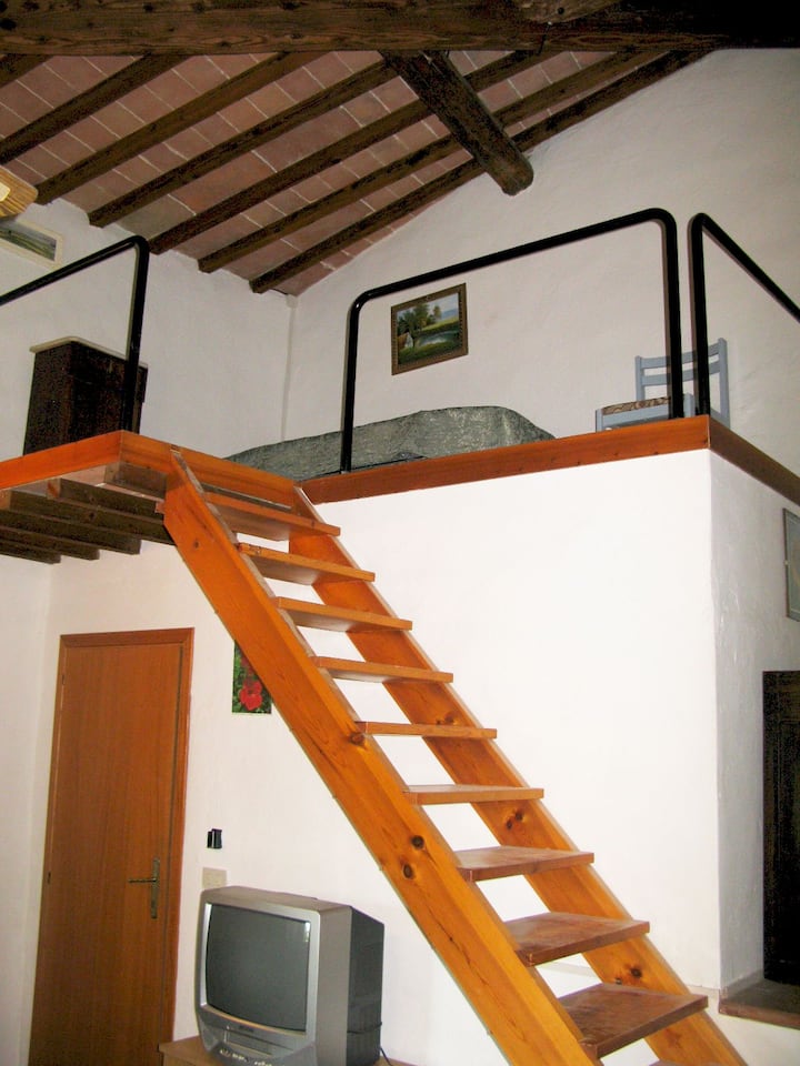 Agriturismo Martignana "Gelsomini" - Tuscany
