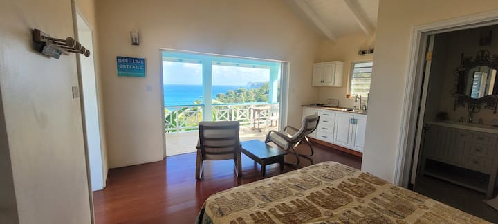 Blue Lime Cottage - Montserrat