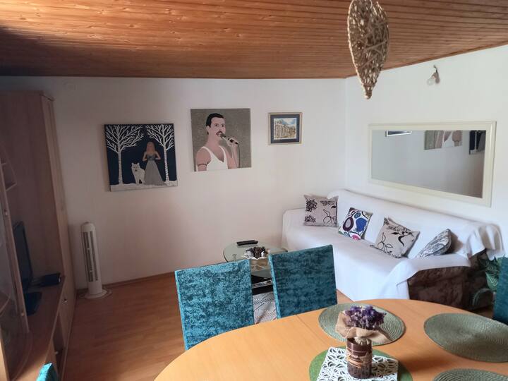 Apartment Silvija - Dugi otok