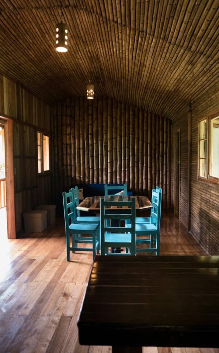 La Maga - Mindo-ecuador - Santo Domingo de los Tsachilas