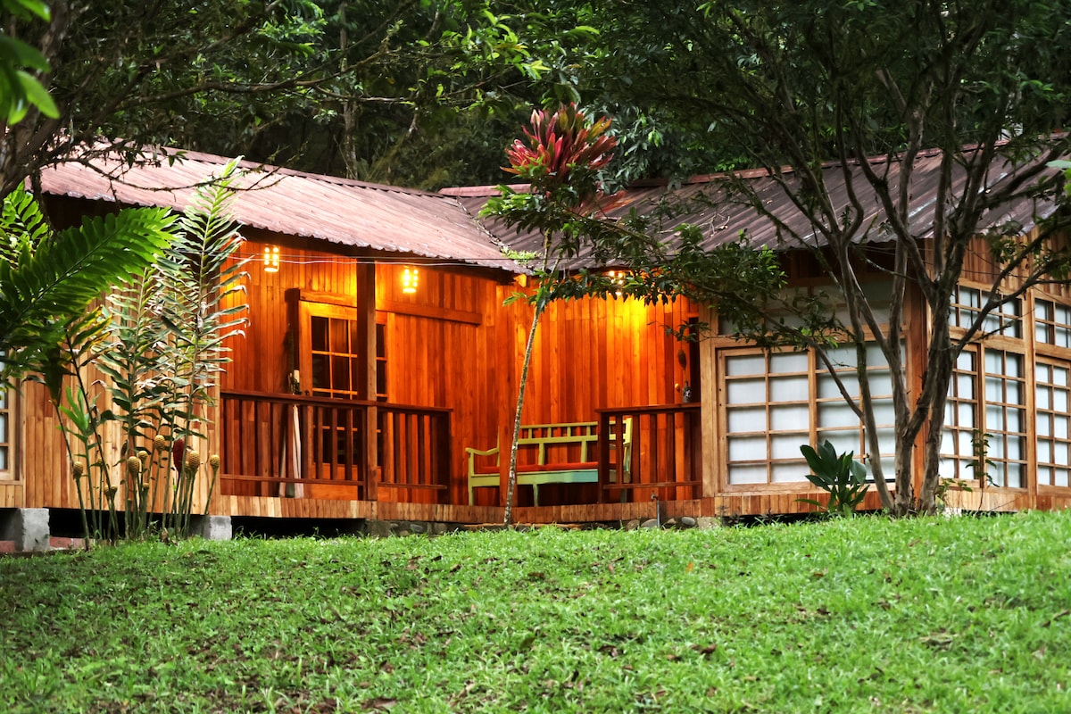 The wooden exterior of the house features a welcoming porch with a green bench, surrounded by lush greenery. Large windows allow natural light to brighten the space, while the red roof complements the warm wood tones of the structure.