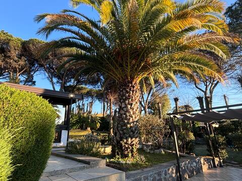 The Wood house with pool near Rome - Villa Marzia