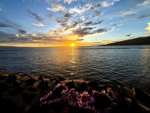 Menehune Shores 114 Oceanfront Paradise! Full A/C! gallery image 5