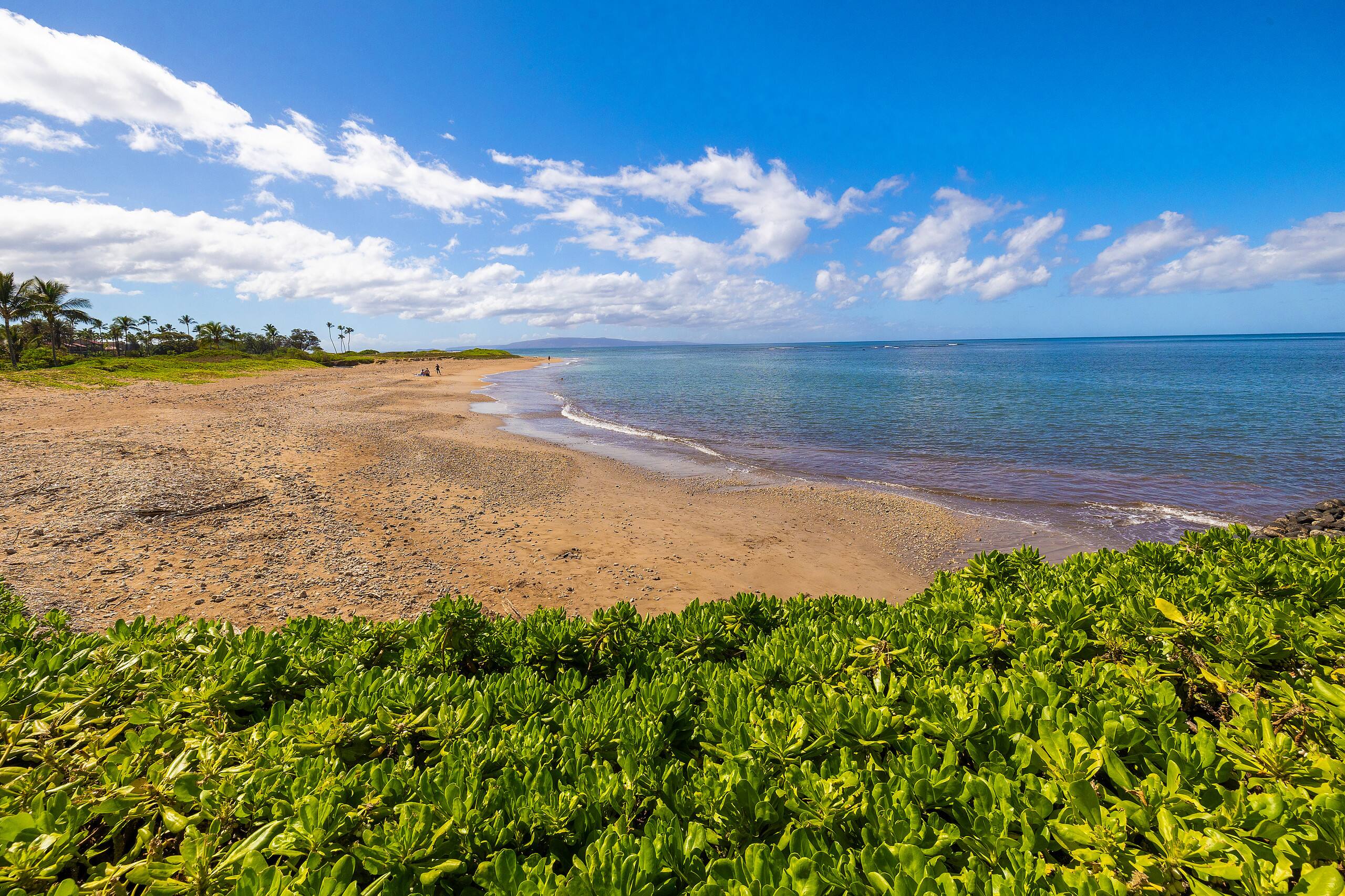 Condo in Kihei · ★4.8 · 3 bedrooms · 5 beds · 2 baths - Image 42