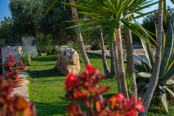 Trullo e casa in pietra con piscina e ulivi gallery image 4