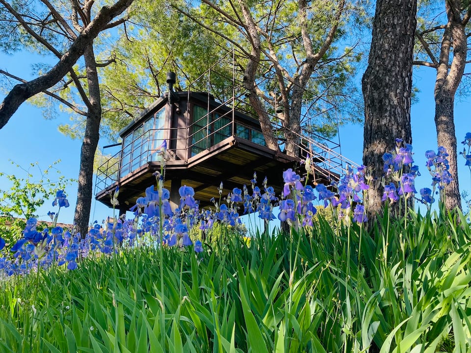A glass treehouse in an olive grove, Florence, Tuscany, Italy, photo 3 of 10