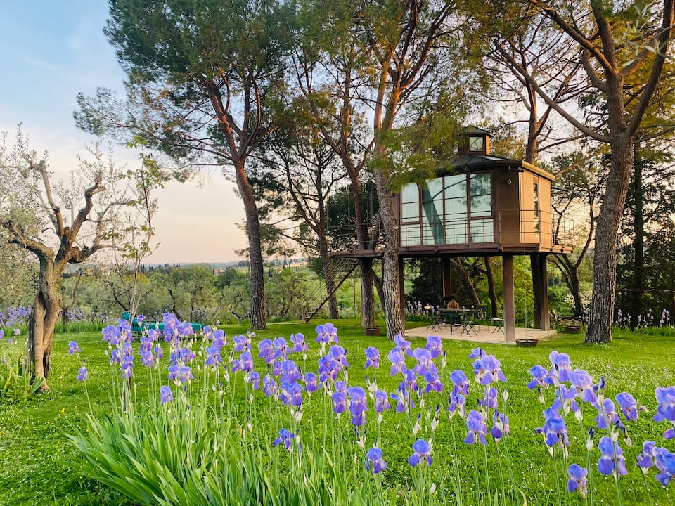 A glass treehouse in an olive grove, Florence, Tuscany, Italy, photo 1 of 10
