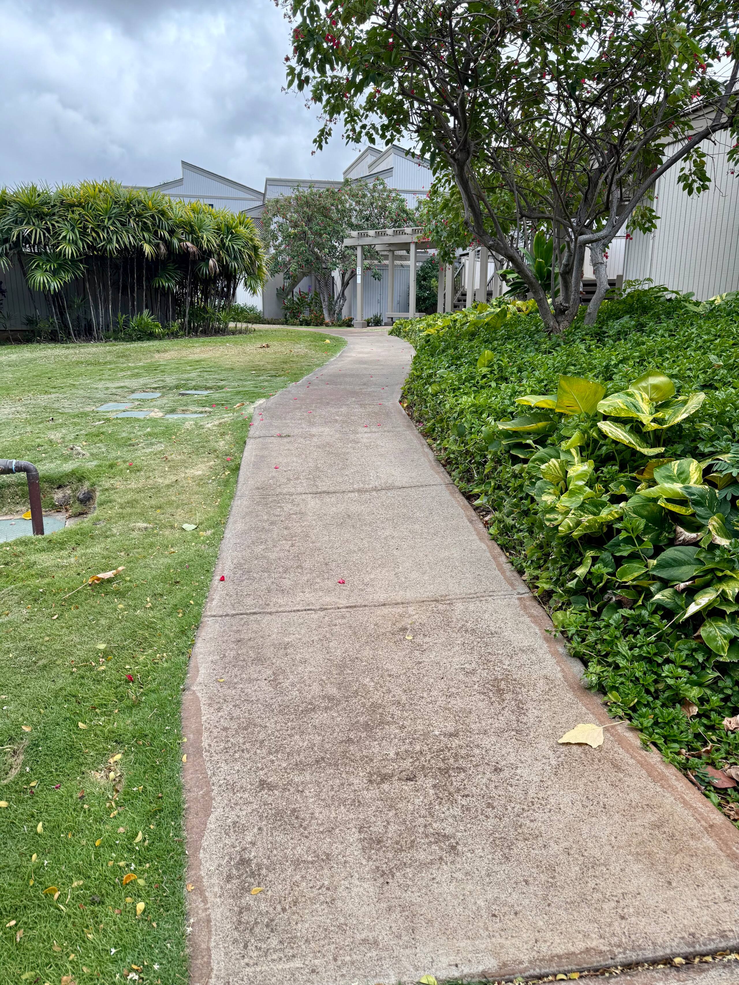 Condo in Wailea · ★5.0 · 1 bedroom · 1 bed · 2 baths - Image 3