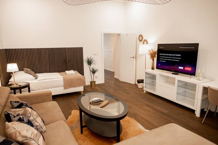 Luxury Apartment in Old Town Prague 1 gallery image 3