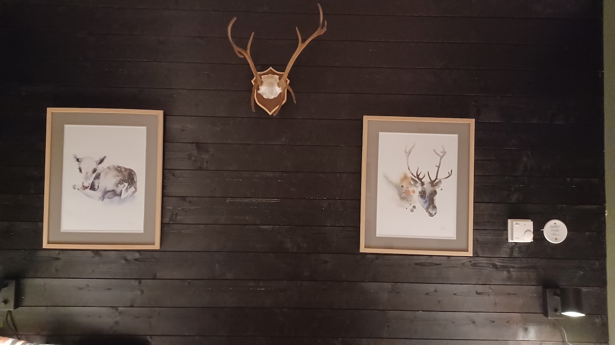 Two framed animal paintings are displayed on a dark wooden wall, featuring a sleeping fox on the left and a reindeer on the right. A set of antlers is mounted above the paintings. Soft lighting is provided by two wall sconces on either side.