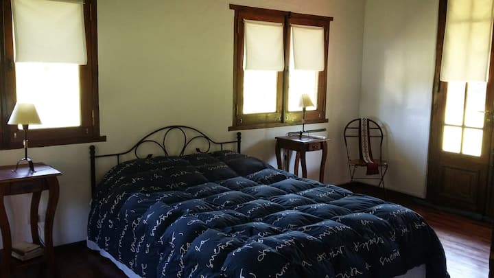 Dhoma kryesore e gjumit në katin përdhes, me pamje të hapur, për të parë lindjen e diellit midis poplarëve