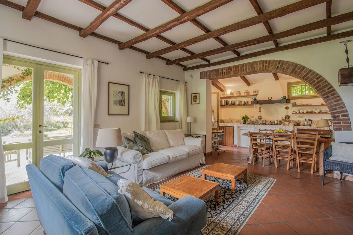 The living area features a comfortable sofa, an elegant armchair, and wooden coffee tables. Exposed wooden beams frame the ceiling, while large windows invite natural light. An open archway leads to a dining area with a rustic table and a fully equipped kitchen.