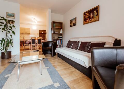 Popular Airbnb listing: Apartment with swimming pool OLIVA in Dračevac Monspinoso