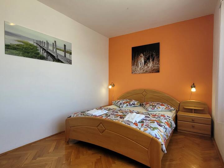 Habitación 1